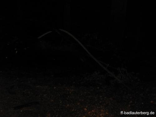 2011_06_02 Waldbrand Kummel Richtung Bismarkturm 14